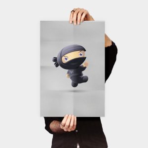 flying-ninja